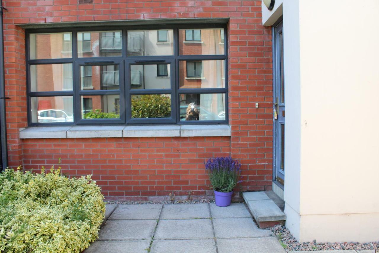 Park Apartments At Obc Belfast Eksteriør billede